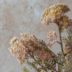 Künstlicher Hemlock