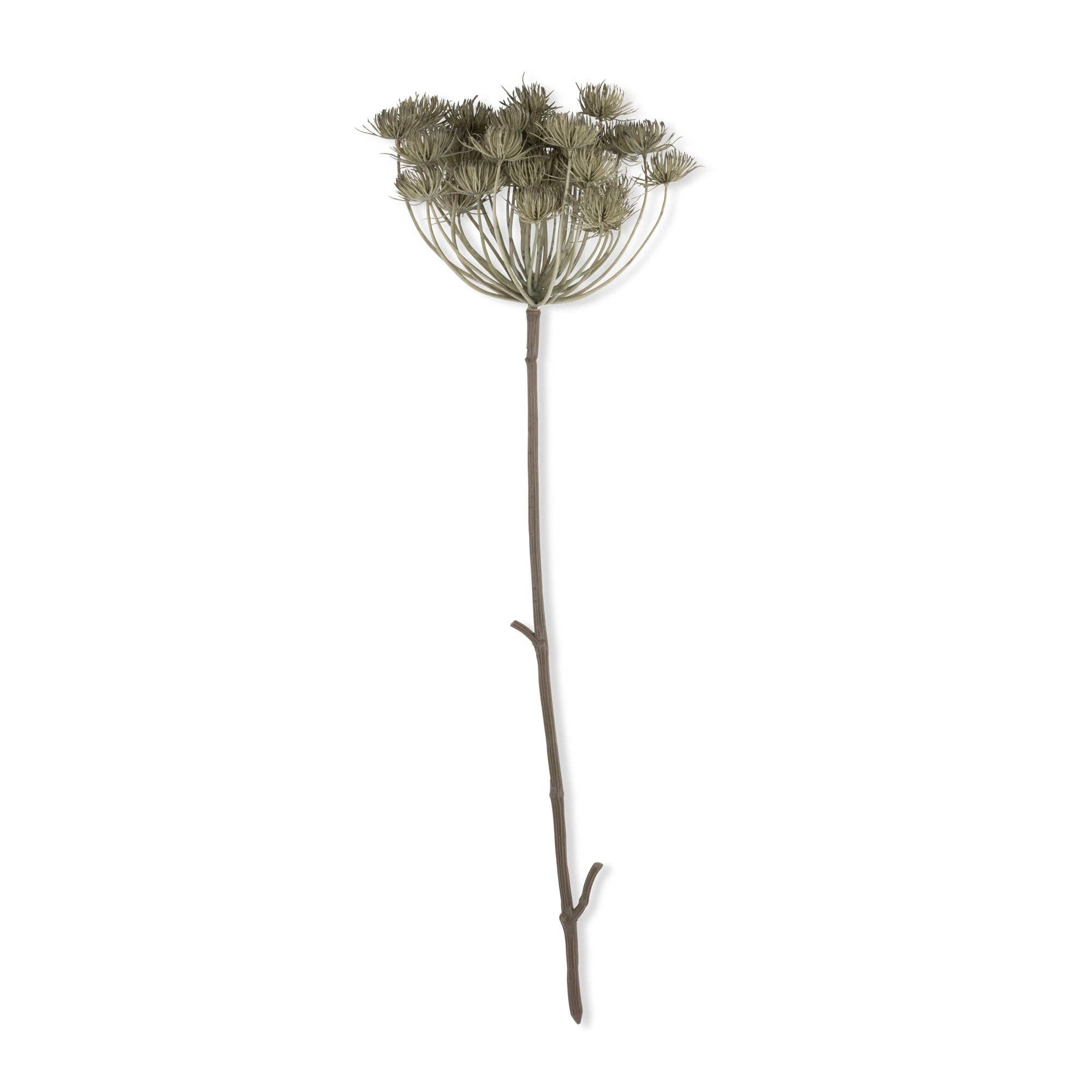 Künstlicher Angelica