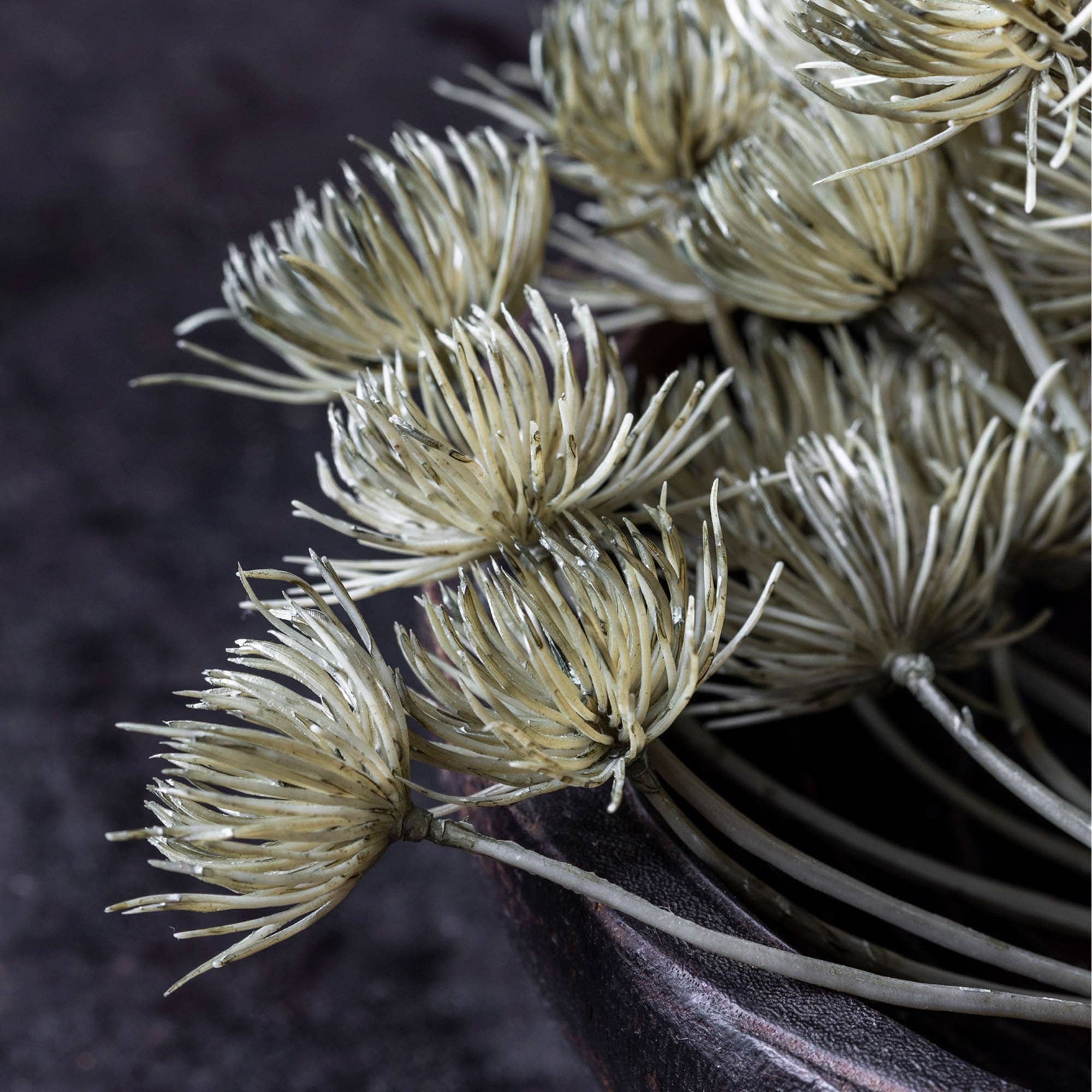 Künstlicher Angelica