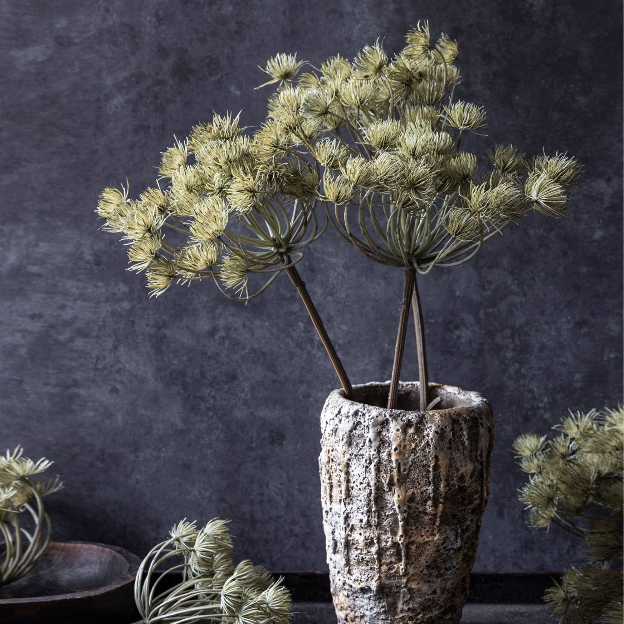 Künstlicher Angelica