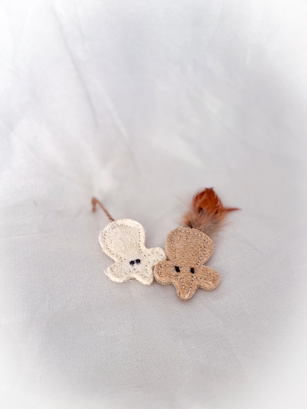 Catnat x Ayla – Verto Holiday Box